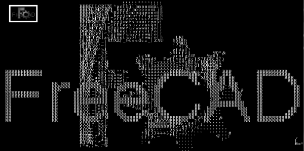 Image converted in ASCII caracter.